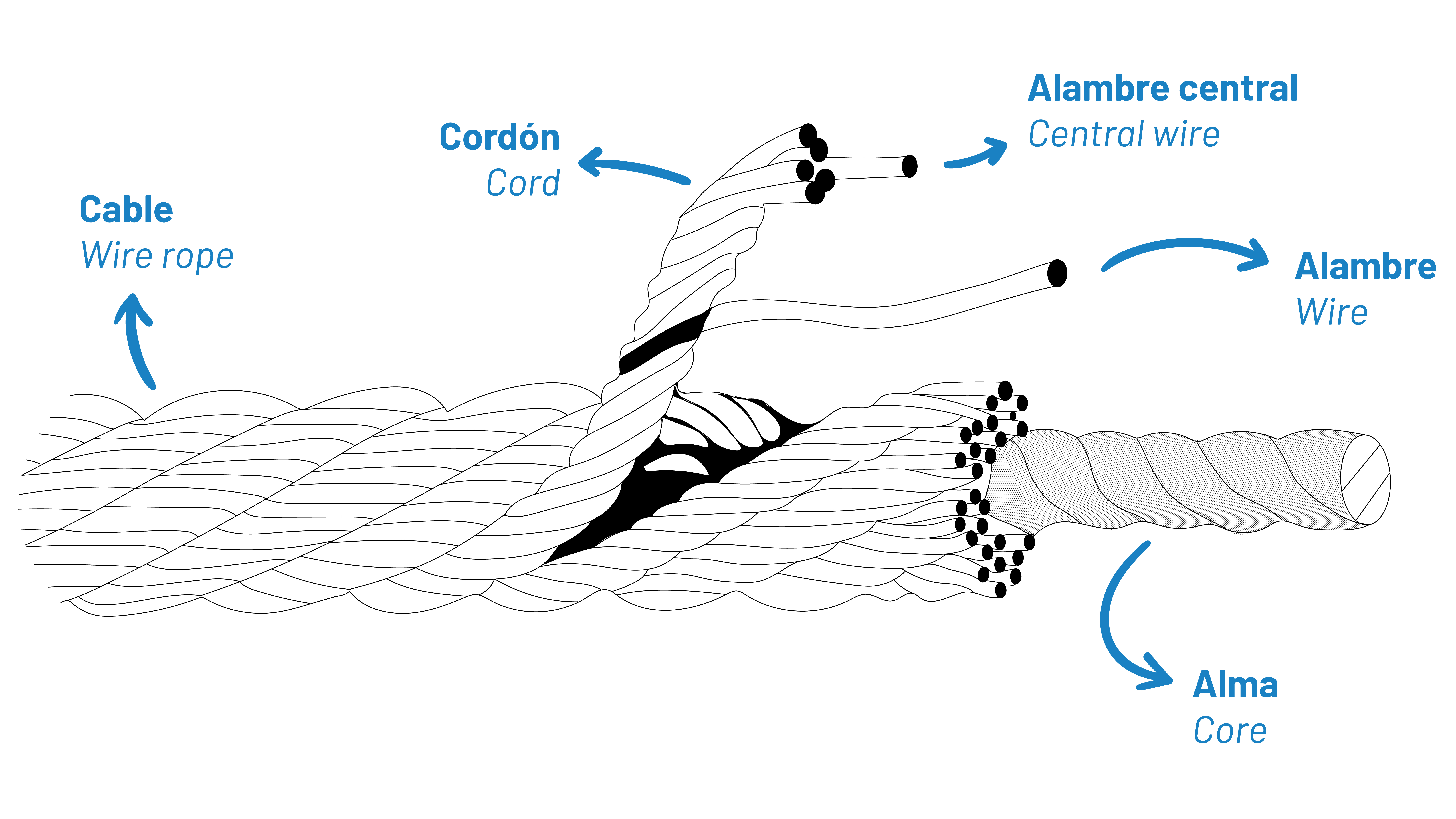 Basic components of a steel wire rope